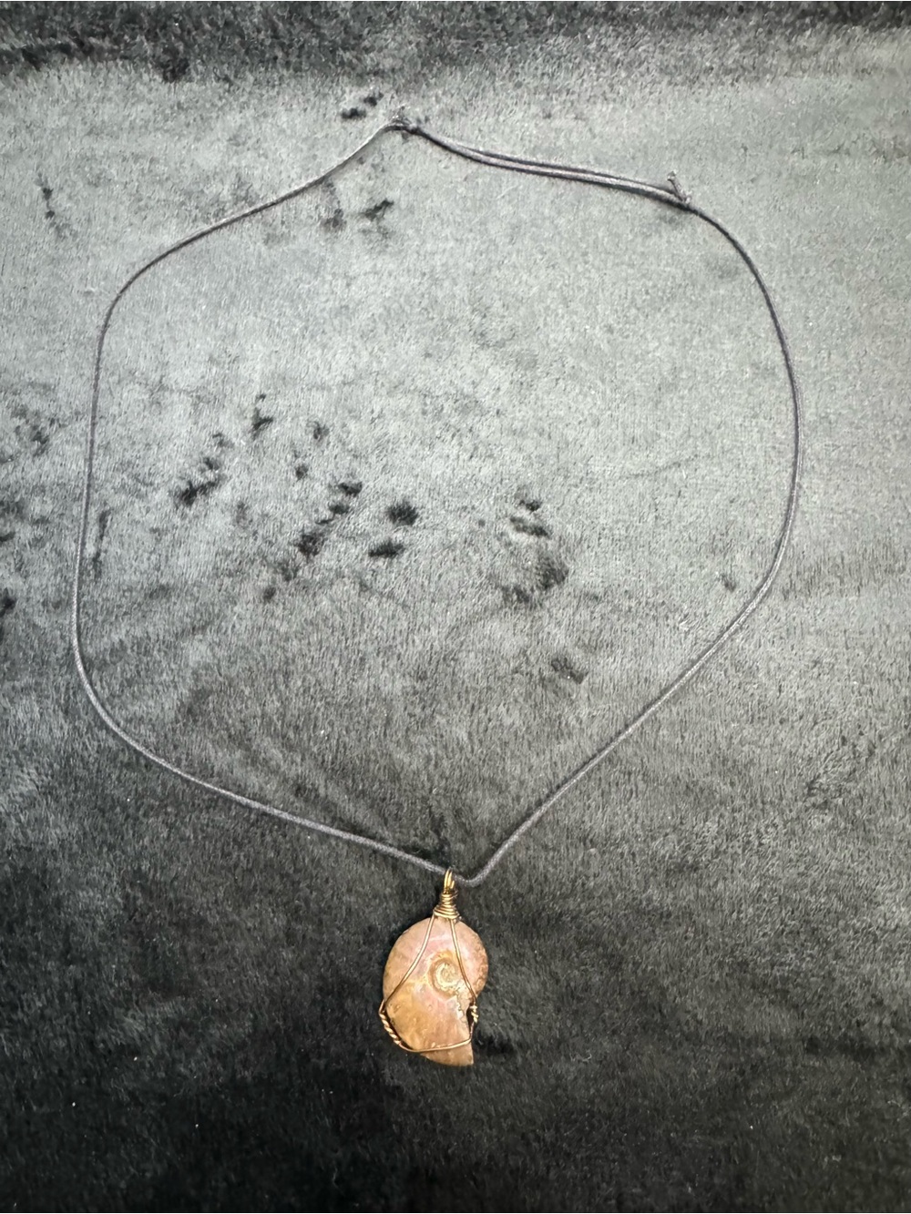 Handmade Iridescent Fossil Shell Pendant Necklace on Black Cord